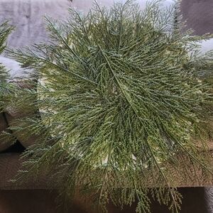 Set of 3 Christmas Chargers